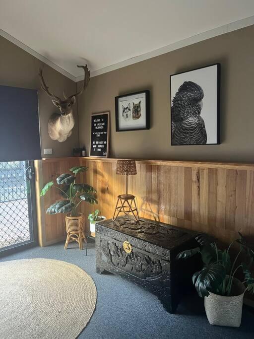 Great Lakes Wilderness Three Bedroom Home Miena 외부 사진