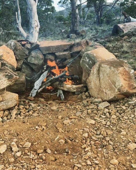 Great Lakes Wilderness Three Bedroom Home Miena 외부 사진